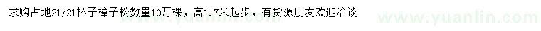 求購高1.7米起步樟子松