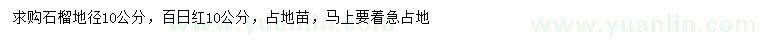求購地徑10公分石榴、10公分百日紅