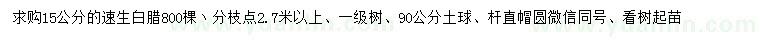 求購15公分速生白臘