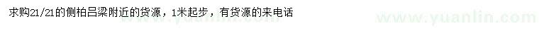 求購1米起步側(cè)柏
