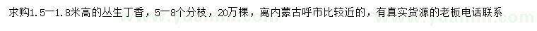 求購高1.5-1.8米叢生丁香