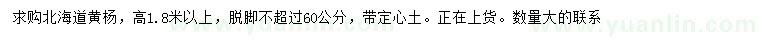 求購高1.8米以上北海道黃楊