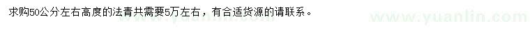 求購高50公分左右法青