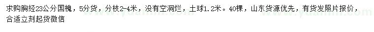 求購胸徑23公分國槐