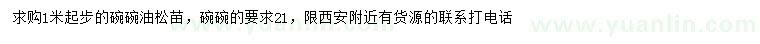 求購1米起步油松