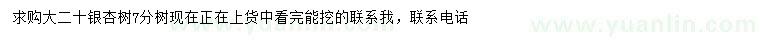 求購(gòu)20公分銀杏