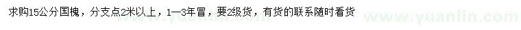 求購15公分國槐