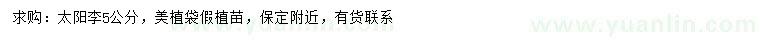 求購5公分太陽李