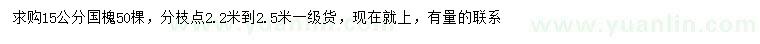 求購15公分國槐