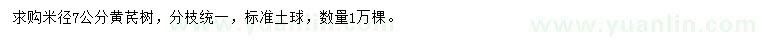 求購米徑7公分黃芪樹