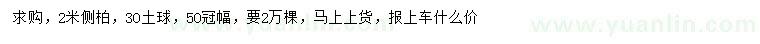 求購(gòu)2米側(cè)柏