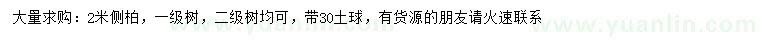 求購2米側(cè)柏