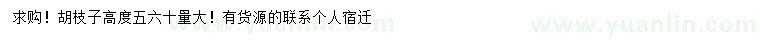 求購(gòu)高50、60公分胡枝子