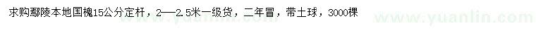 求購15公分國槐