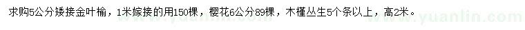 求購(gòu)金葉榆、櫻花、木槿