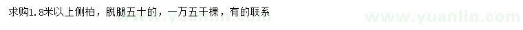 求購1.8米以上側(cè)柏