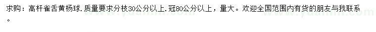 求購冠幅80公分以上雀舌黃楊