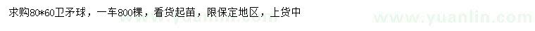 求購(gòu)衛(wèi)矛球