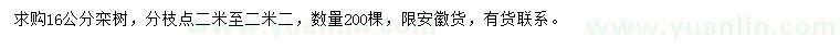 求購16公分欒樹