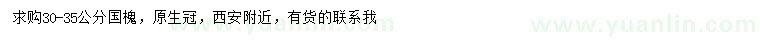 求購30-35公分國槐
