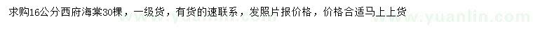 求購16公分西府海棠