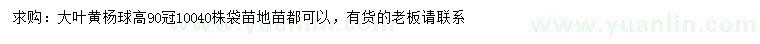 求購高90公分大葉黃楊球