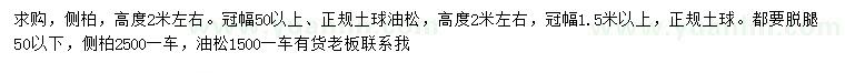 求購高2米左右側(cè)柏