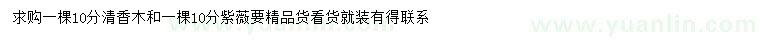 求購10公分清香木、紫薇