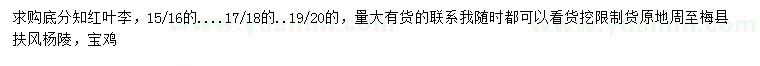 求購15-16、17-18、19-20公分紅葉李