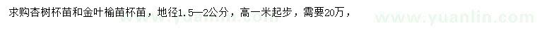 求購地徑1.5-2公分杏樹、金葉榆
