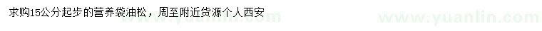 求購15公分起步油松