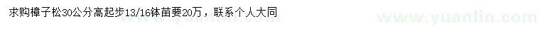 求購30公分樟子松