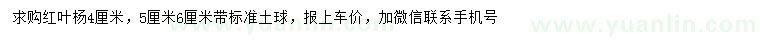 求購(gòu)4、5、6公分紅葉楊		