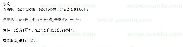 求購五角楓、元寶楓、黃櫨