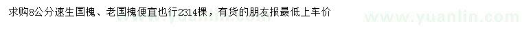 求購8公分速生國槐、老國槐