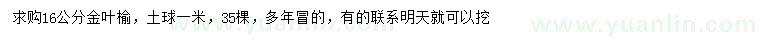 求購16公分金葉榆