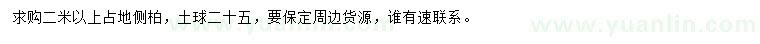求購2米以上占地側(cè)柏