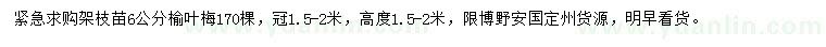 求購(gòu)6公分榆葉梅
