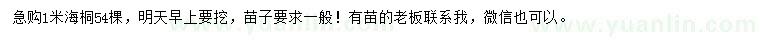 求購1米海桐
