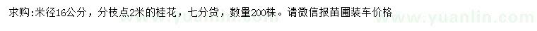 求購米徑16公分桂花