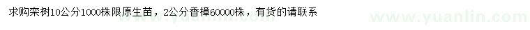 求購10公分欒樹、2公分香樟