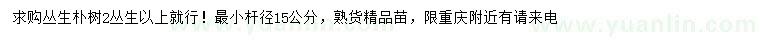 求購叢生樸樹