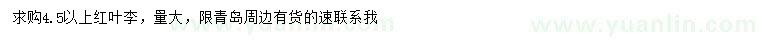 求購4.5公分以上紅葉李
