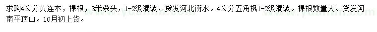 求購4公分黃連木、五角楓