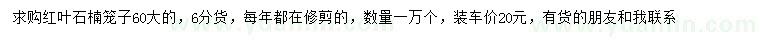 求購60公分紅葉石楠籠子