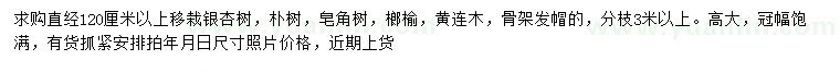 求購銀杏、樸樹，皂角等
