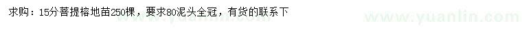 求購15公分菩提榕