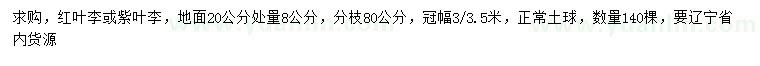 求購地面20公分處量8公分紅葉李或紫葉李