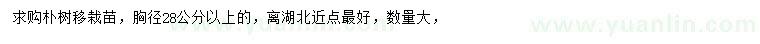 求購胸徑28公分以上樸樹