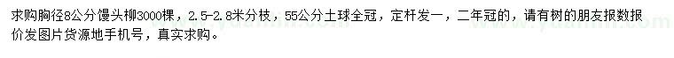 求購(gòu)胸徑8公分饅頭柳